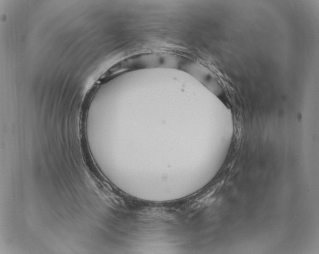 X0000088180244200706121658