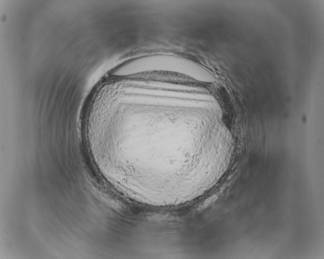 X0000088180246200706121658