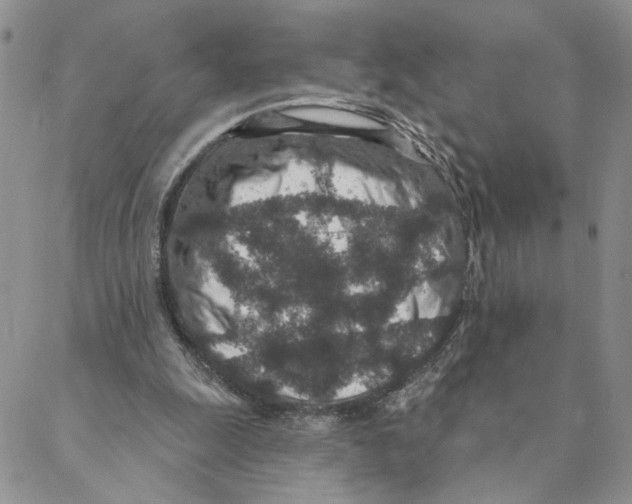 X0000088180247200706121658