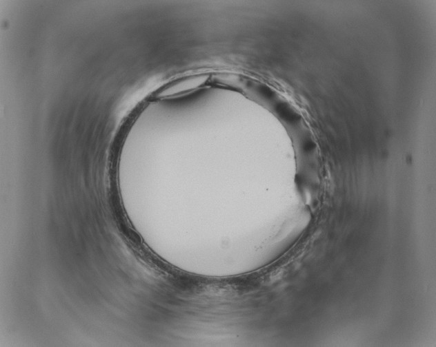 X0000088180248200706121658