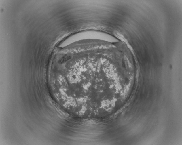 X0000088180249200706121658