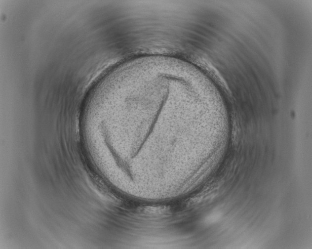 X0000088180251200706121658