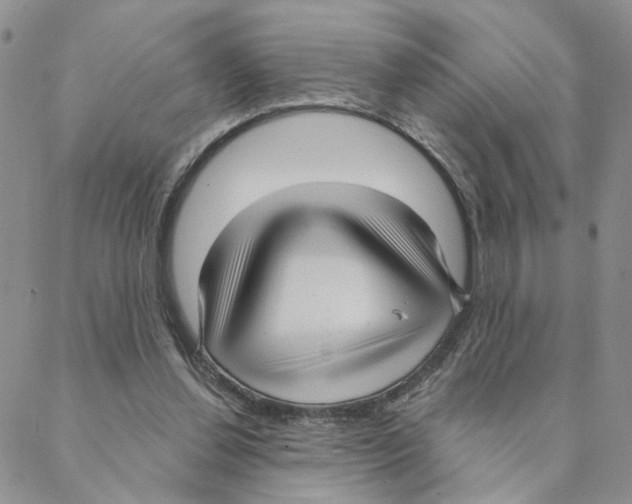 X0000088180252200706121658