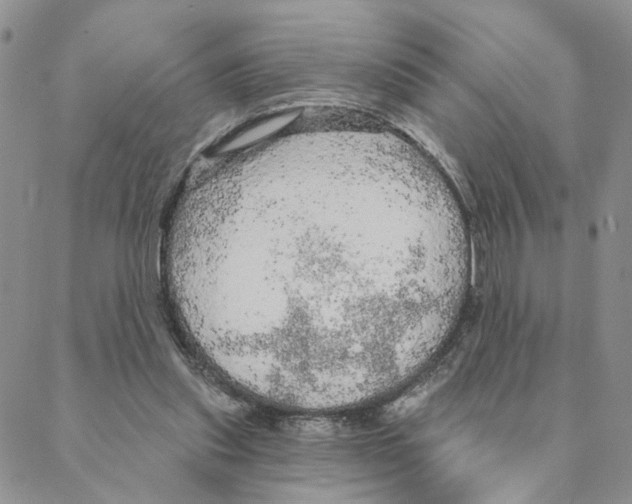 X0000088180253200706121658