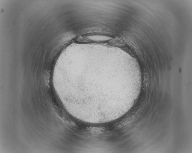 X0000088180255200706121658