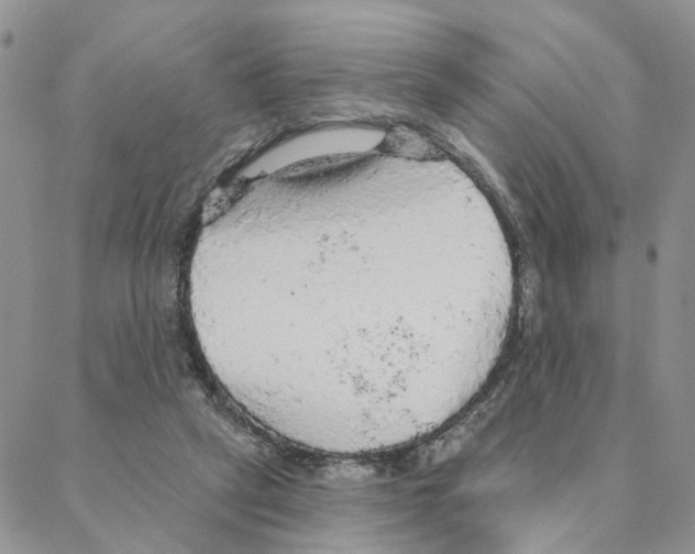 X0000088180257200706121658