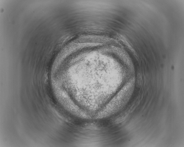 X0000088180259200706121658