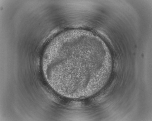 X0000088180260200706121658