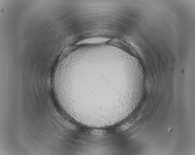 X0000088180261200706121658