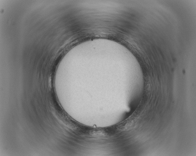 X0000088180262200706121658