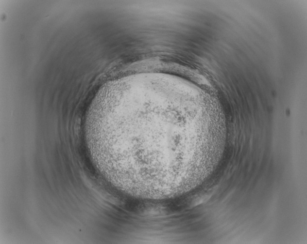 X0000088180263200706121658