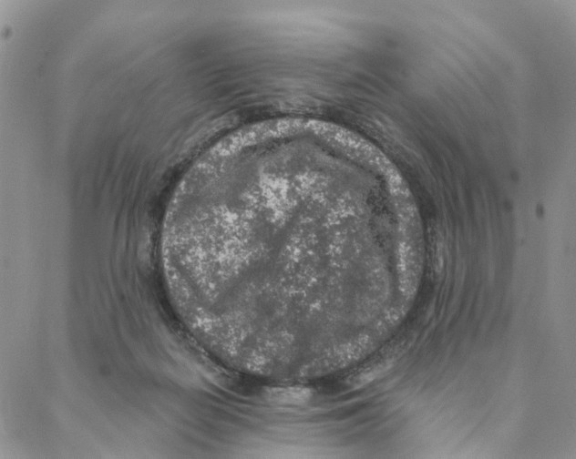 X0000088180266200706121658