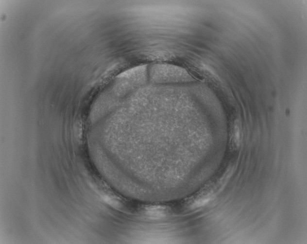 X0000088180268200706121658