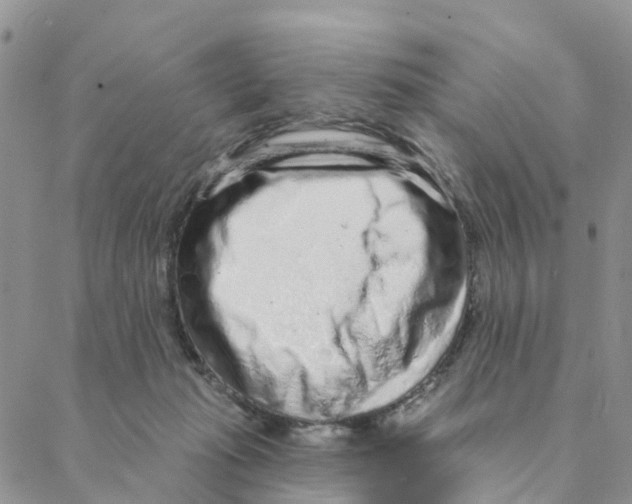 X0000088180269200706121658