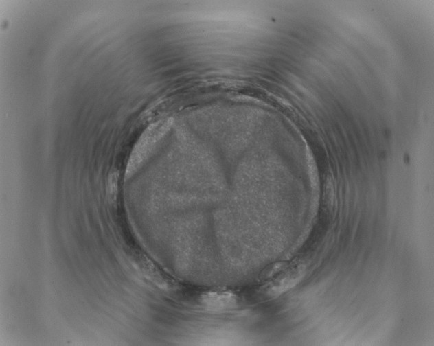 X0000088180271200706121658