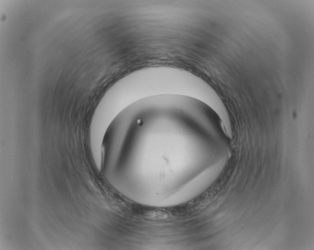 X0000088180272200706121658