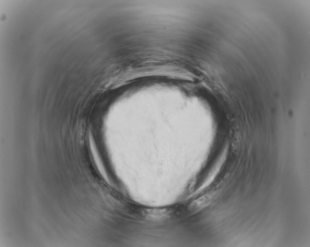 X0000088180273200706121658