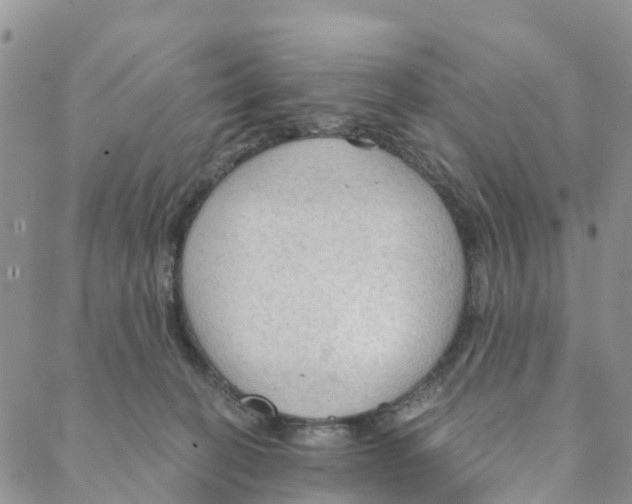 X0000088180274200706121658