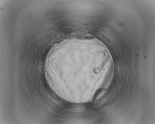 X0000088180275200706121658