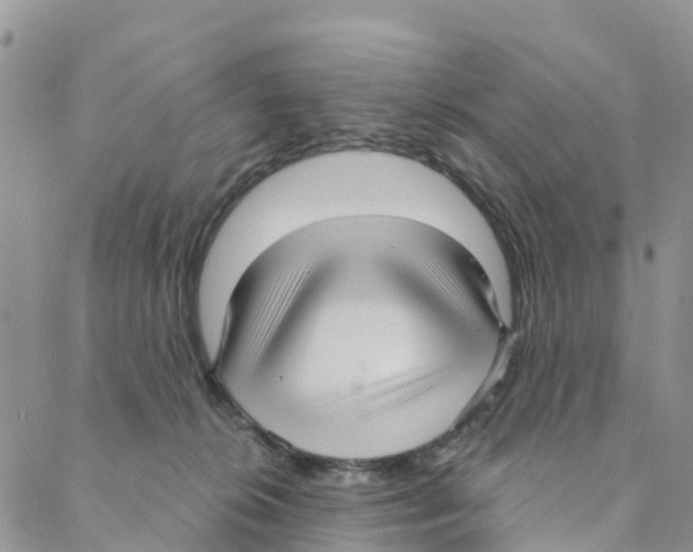 X0000088180276200706121658