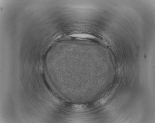 X0000088180277200706121658