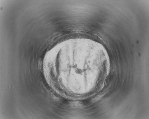 X0000088180281200706121658