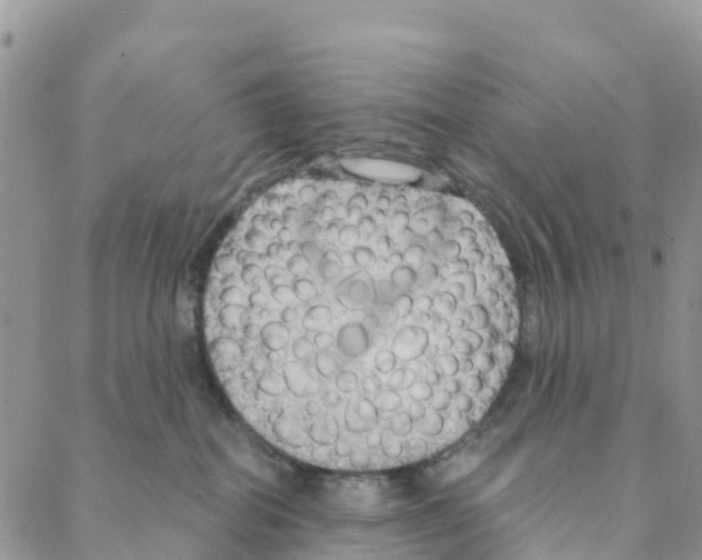 X0000088180282200706121658