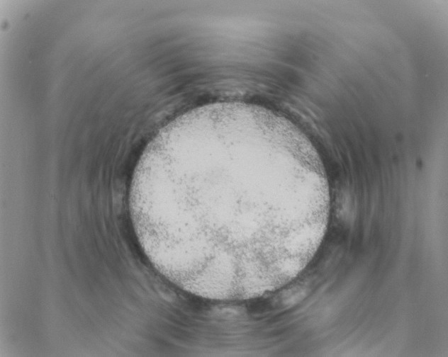 X0000088180283200706121658