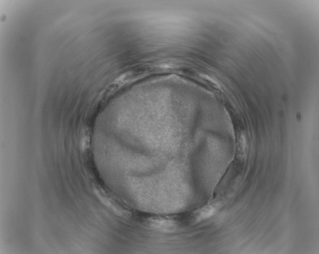 X0000088180284200706121658