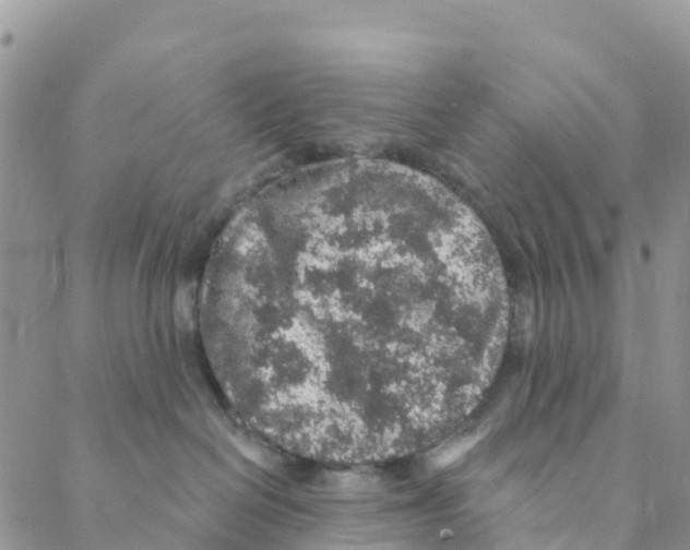 X0000088180286200706121658