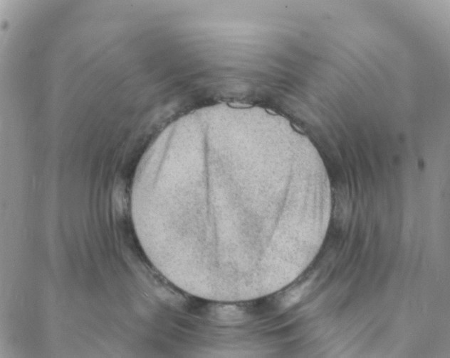 X0000088180287200706121658