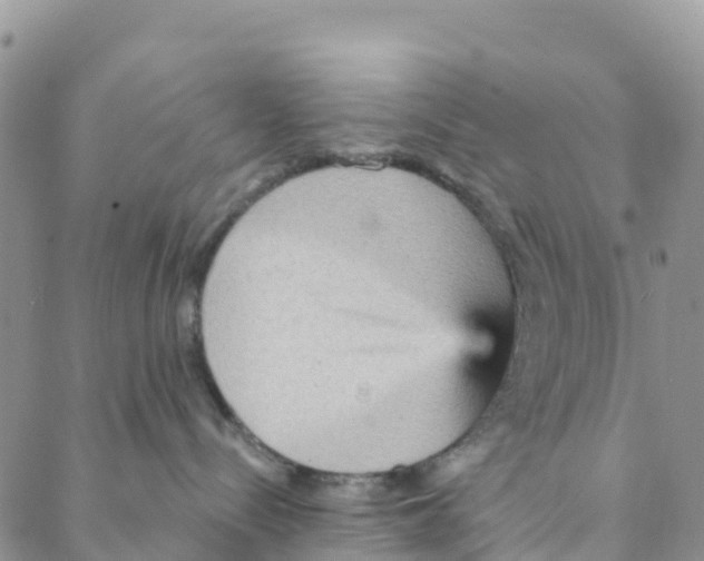 X0000088180288200706121658