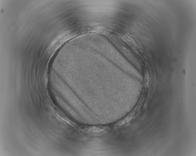 X0000088180290200706121658