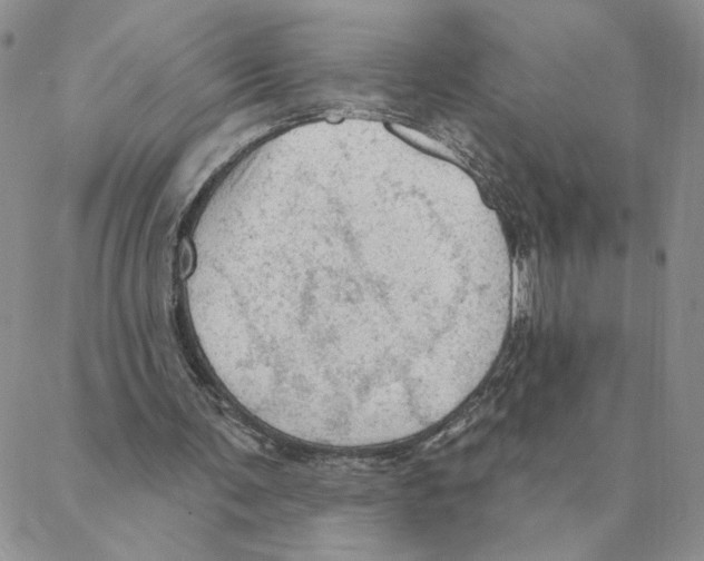 X0000088180291200706121658