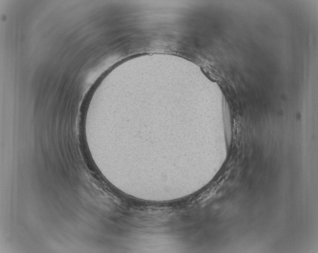 X0000088180292200706121658