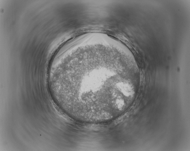 X0000088180293200706121658