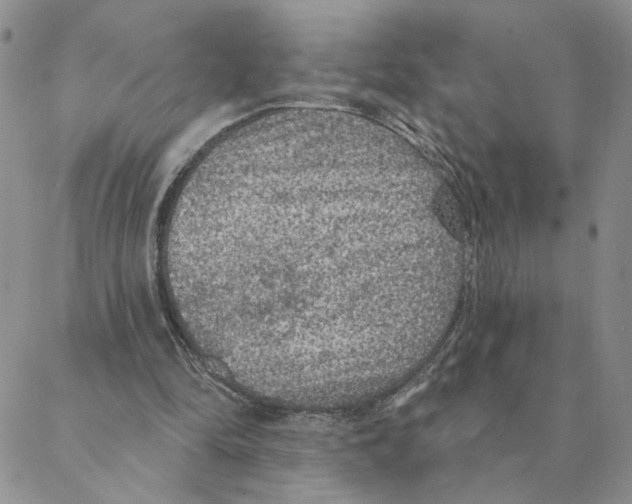 X0000088180294200706121658