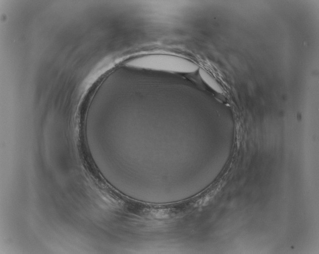 X0000088180295200706121658