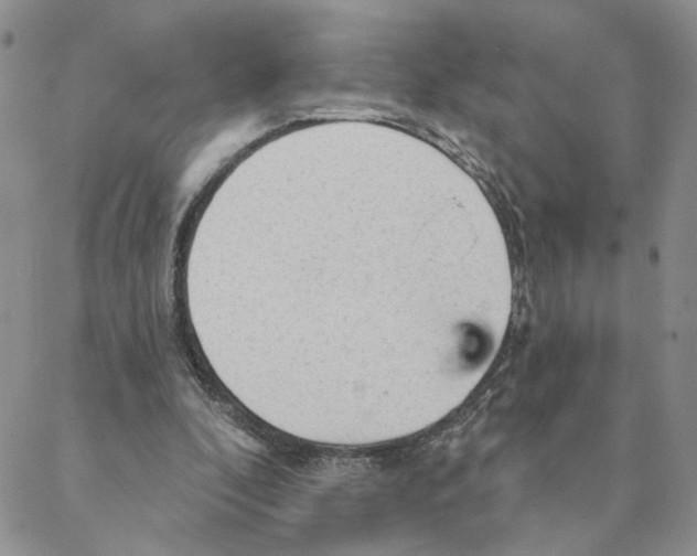 X0000088180296200706121658