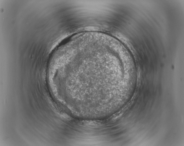 X0000088180297200706121658