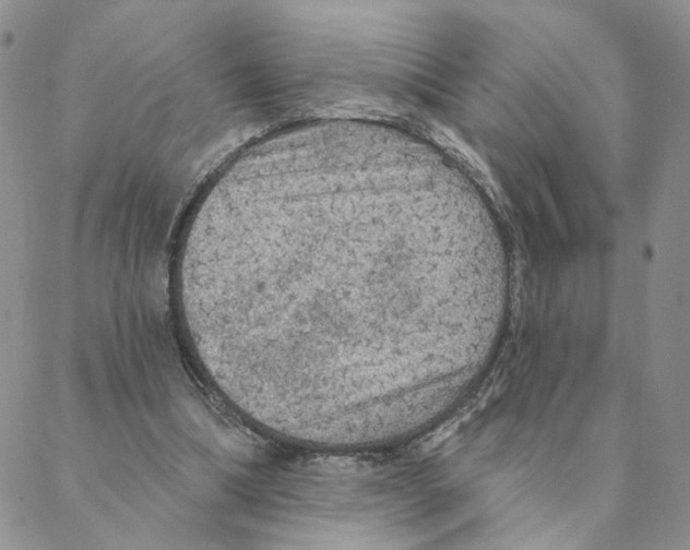 X0000088180298200706121658