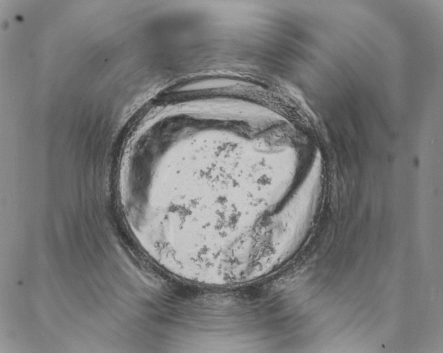 X0000088180299200706121658