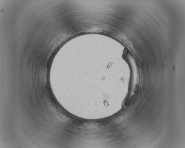 X0000088180300200706121658