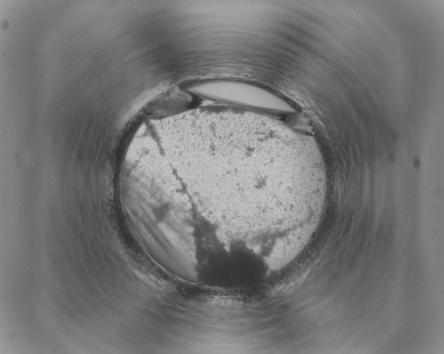 X0000088180303200706121657