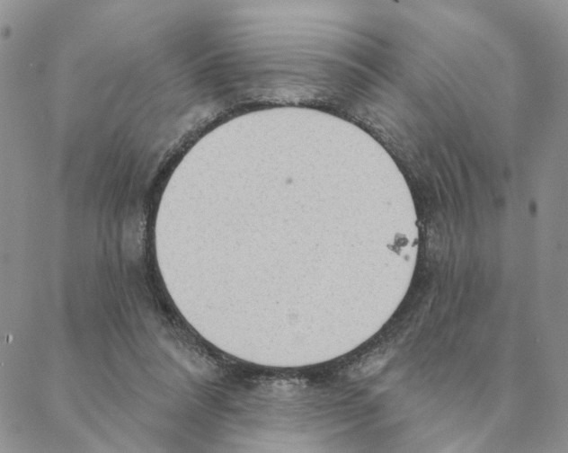 X0000088180304200706121657