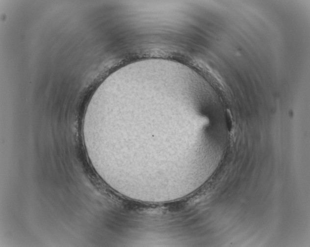 X0000088180306200706121657