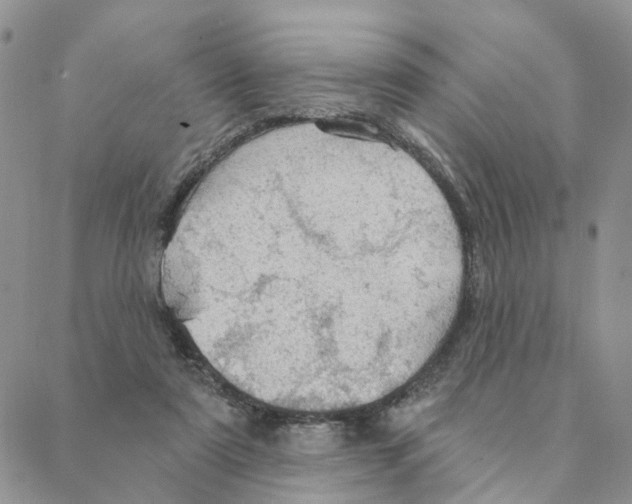 X0000088180307200706121657