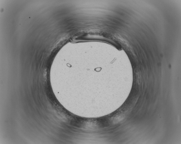 X0000088180308200706121657