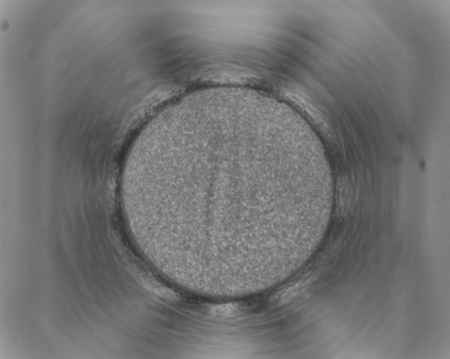 X0000088180309200706121657