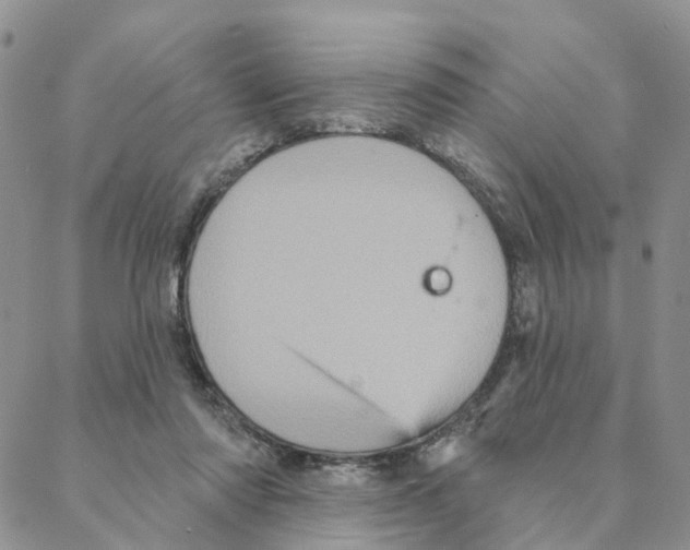 X0000088180310200706121657